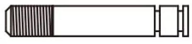 Axon TC10/3 HIGH BIG BORE SHOCK4 PISTON ROD L18.0 (2) DT-SP-303R